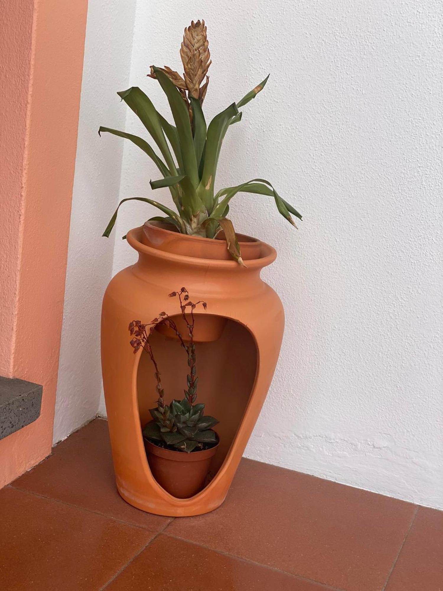 Apartamentos Sao Joao Horta  Kültér fotó