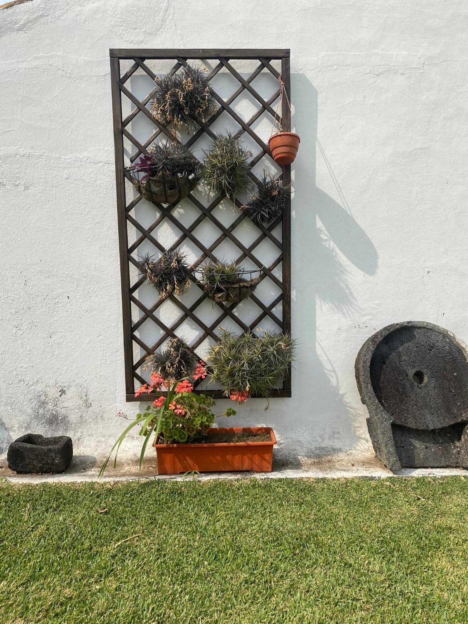 Apartamentos Sao Joao Horta  Kültér fotó